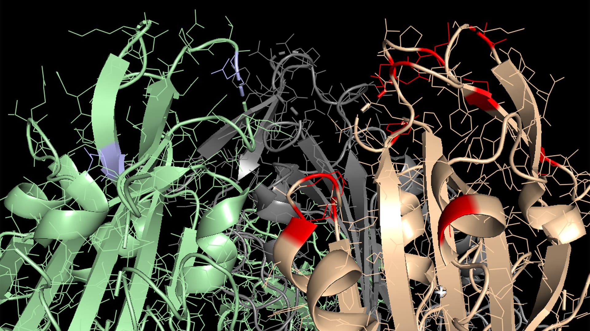 Microscopic diagrams of the COVID-19 variants Delta and Omicron